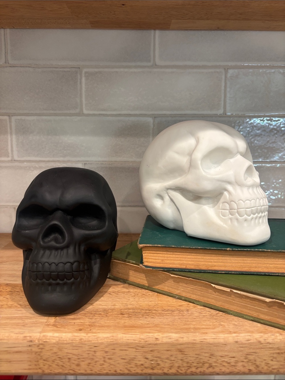 Pair of Plastic Skulls in Black and White Halloween Accent Decor Gothic Skeleton